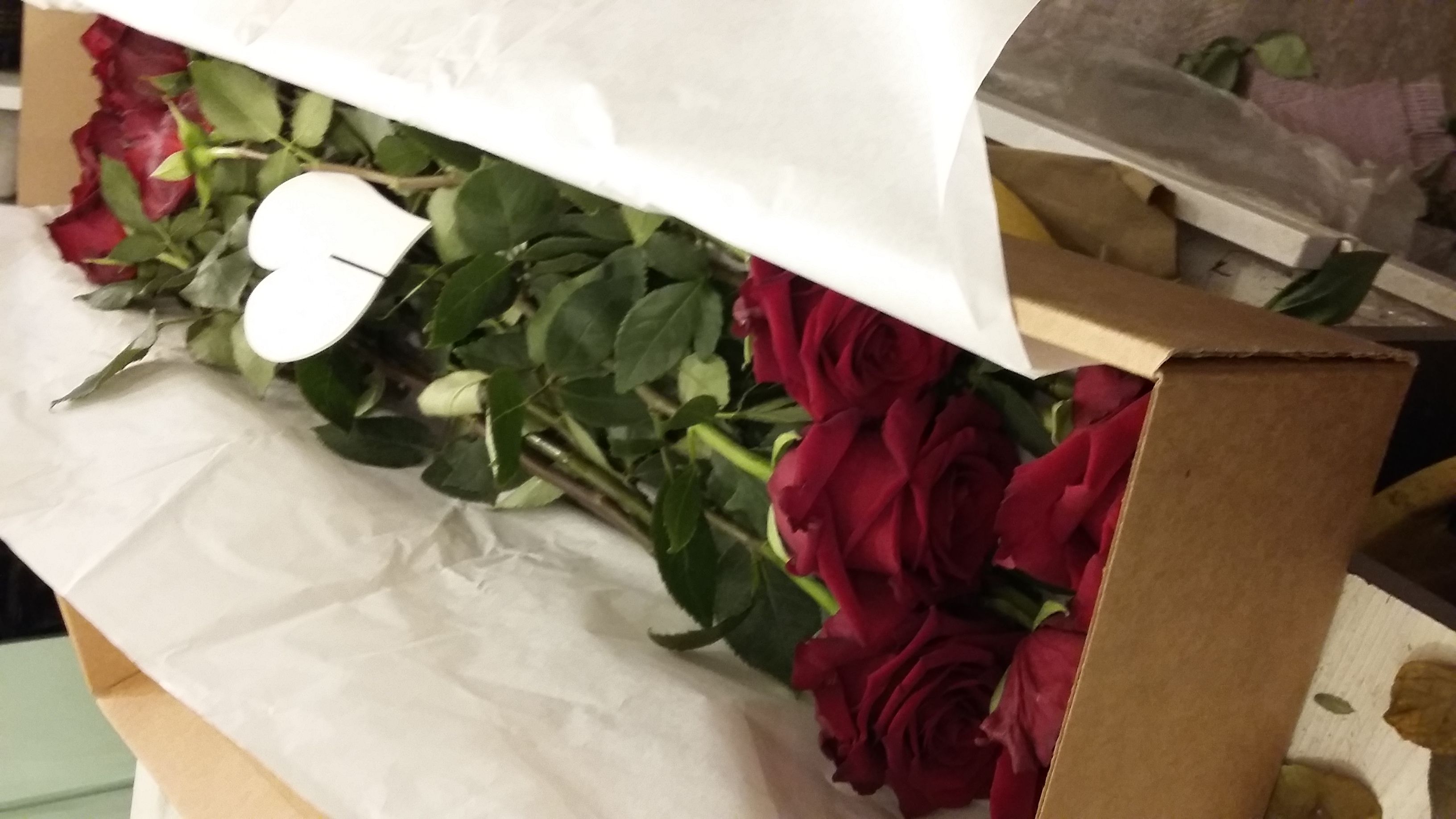 rose in scatola