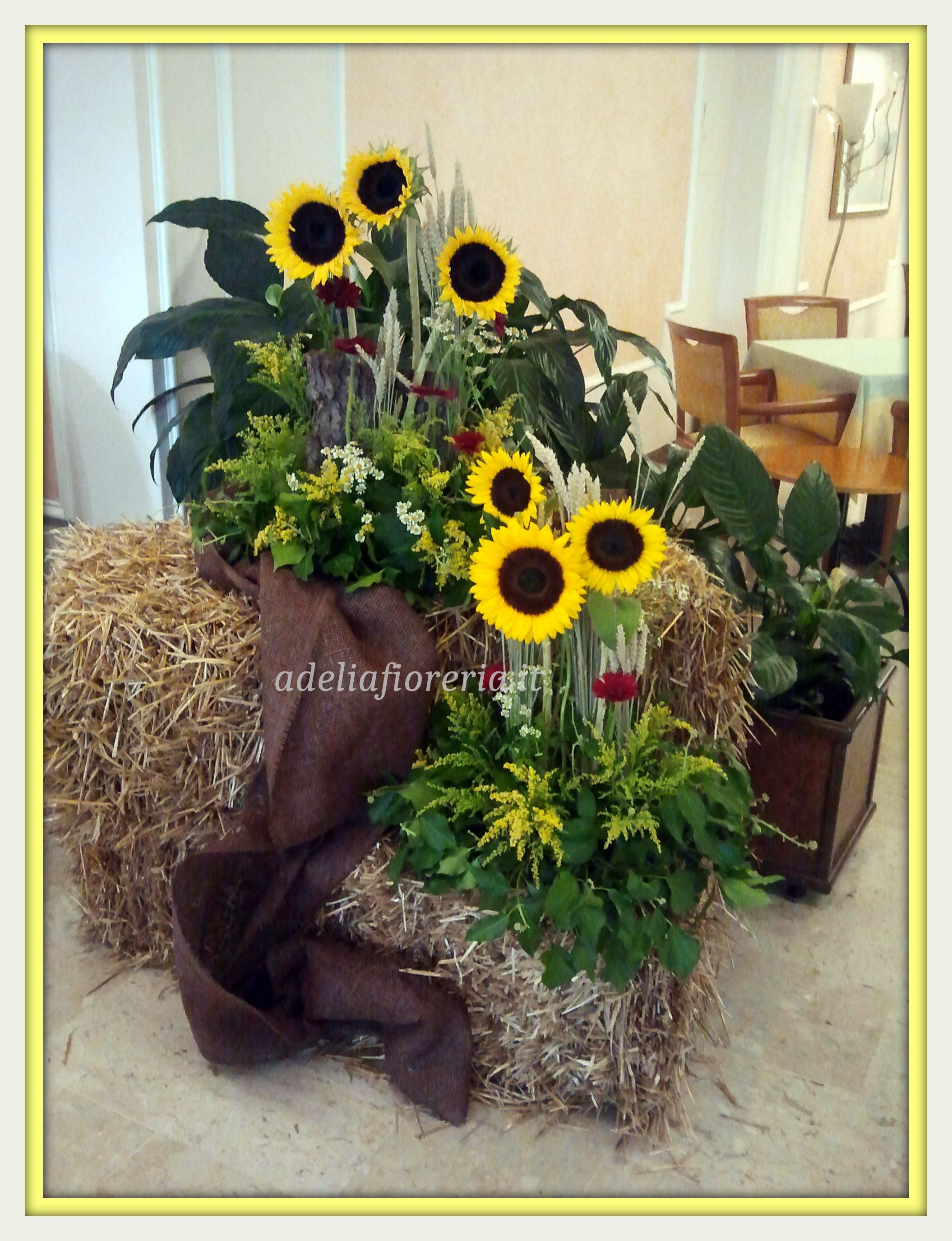 fieno e girasole